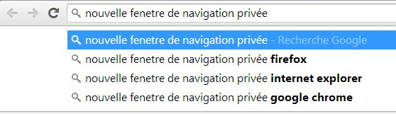 mon adresse ip navigation privée