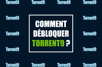 Comment télécharger sans risque sur Torrent 9 bloqué ?